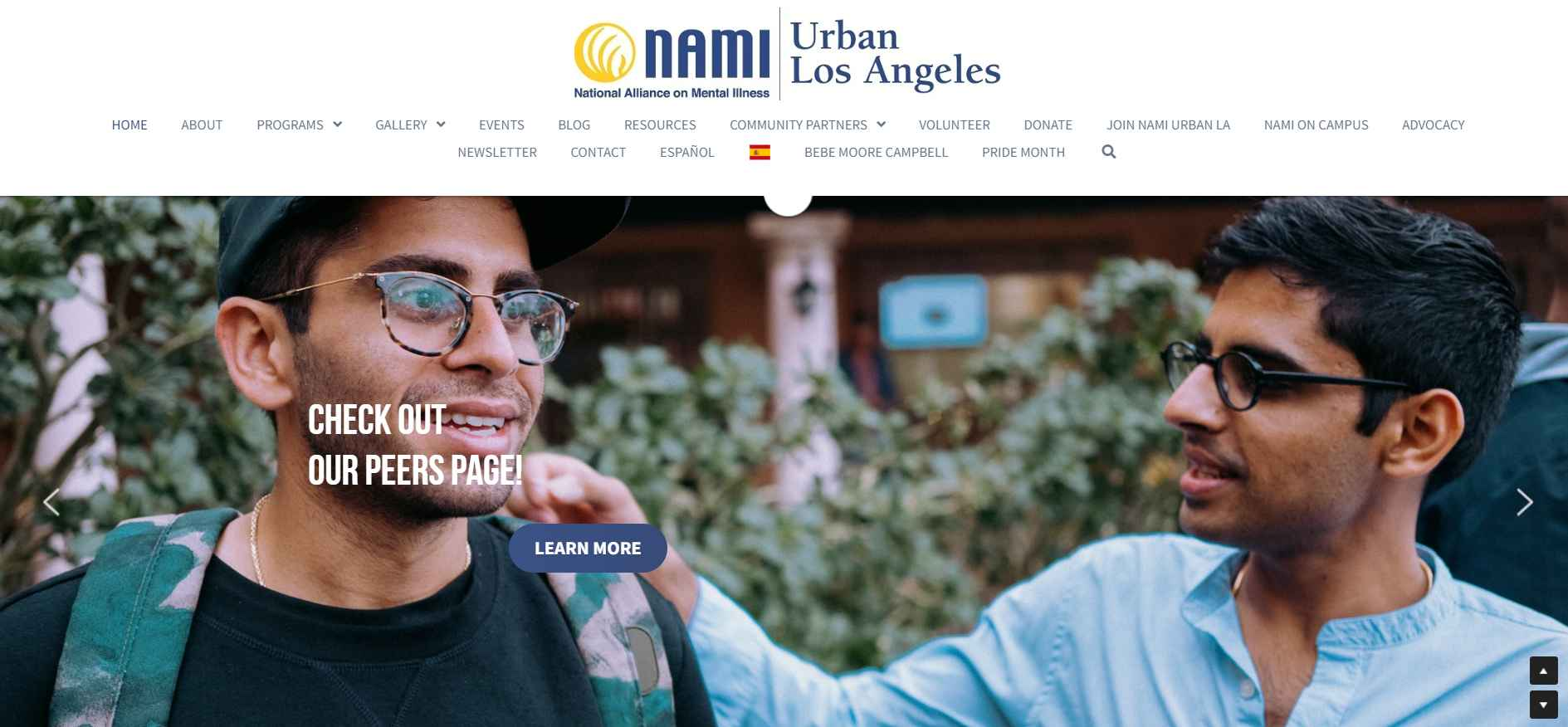 nami-longterm-planning nami-longterm-planning